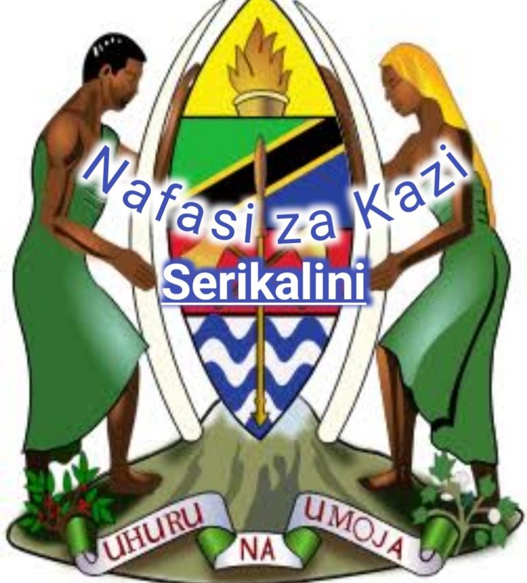 Ajira Portal mpya